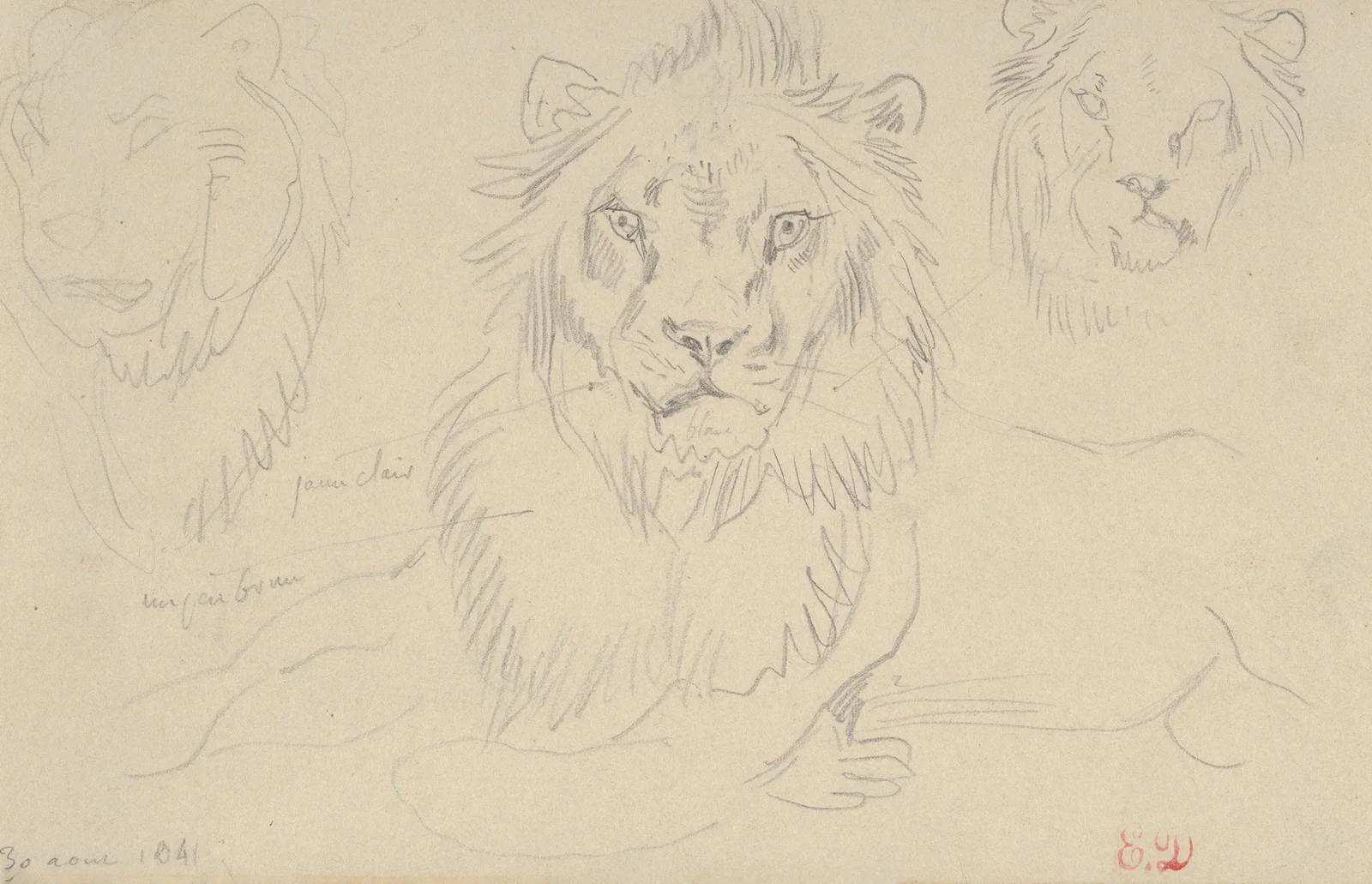 A Lion, Full Face av Eugène Delacroix