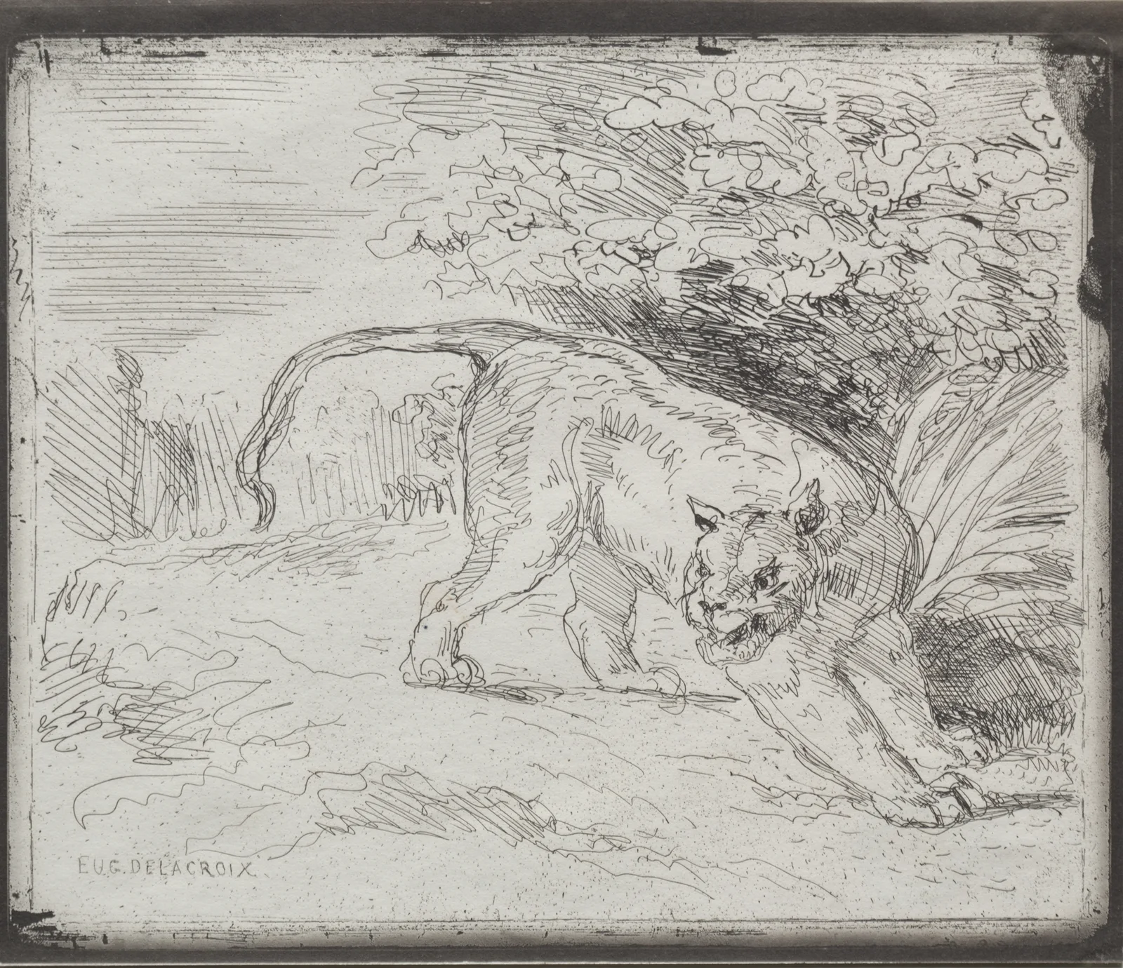 A Trapped Tiger av Eugène Delacroix