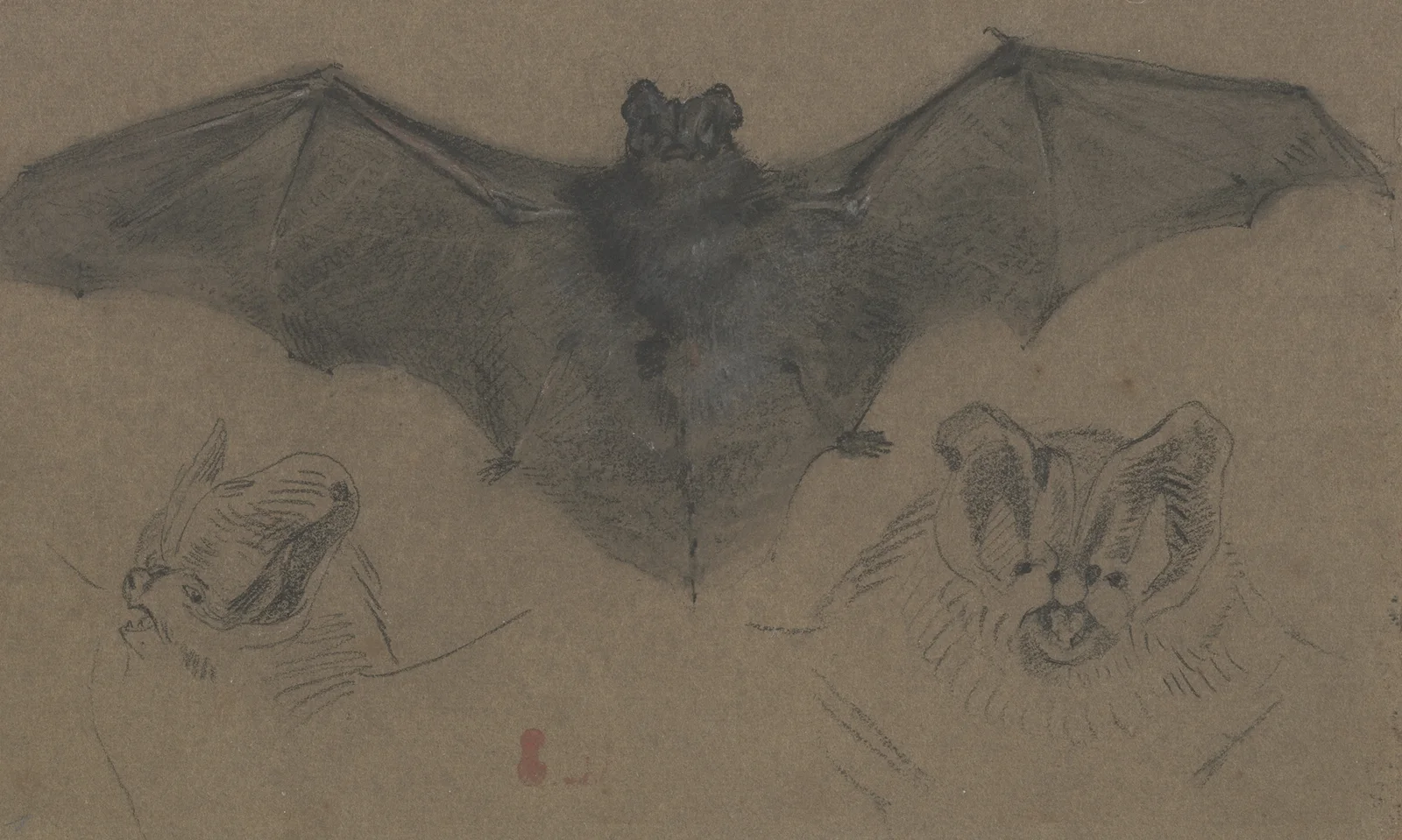 Bat av Eugène Delacroix