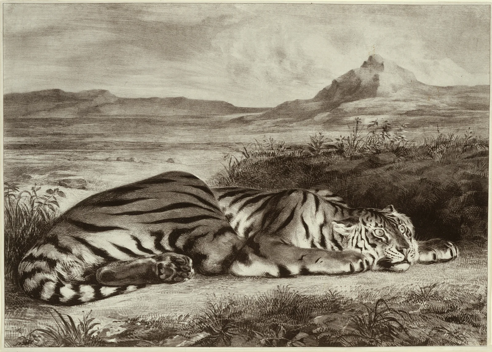Royal Tiger, 1829 – nr 2 av Eugène Delacroix