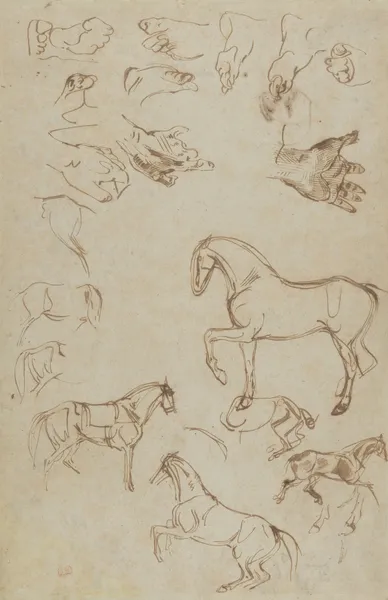 Studies of Horses, Hands, and Feet av Eugène Delacroix