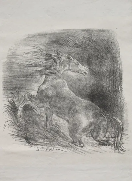 The Wild Horse, or Frightened Horse Leaving the Water, 1828 – nr 1 av Eugène Delacroix