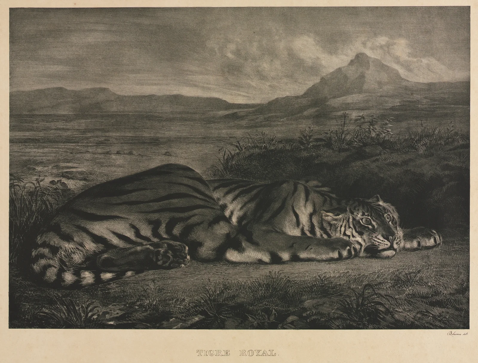 Tigre Royal av Eugène Delacroix