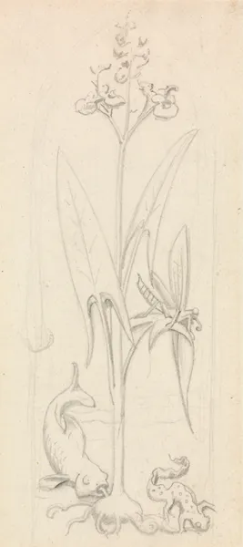Stained Glass Study, Water Plant with Grasshoper, Fish and Newt – nr 2 av Sir John Everett Millais