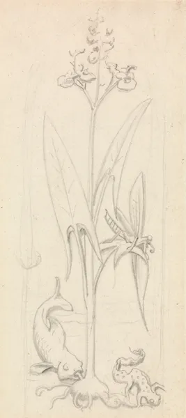 Stained Glass Study, Water Plant with Grasshoper, Fish and Newt – nr 1 av Sir John Everett Millais