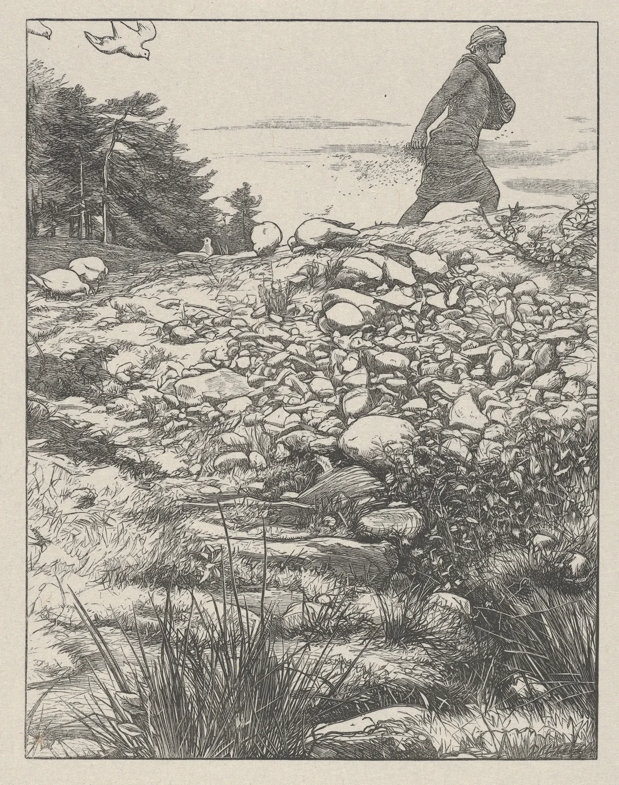 The Sower av Sir John Everett Millais