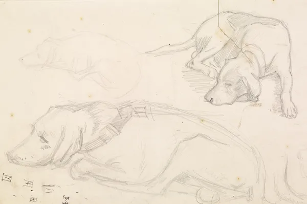 Three Studies of a Sleeping Dog av Sir John Everett Millais