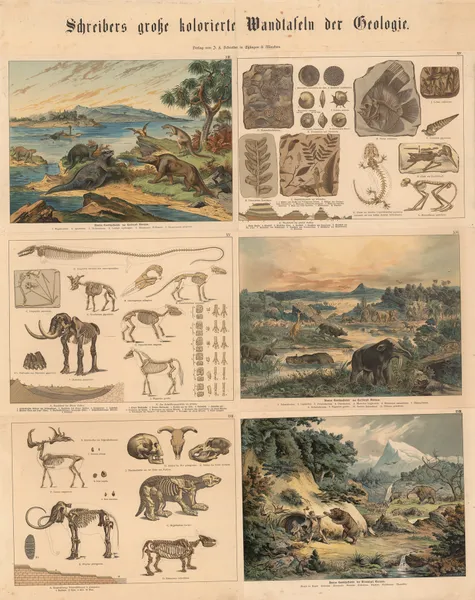Animal and plant life (1885 (2)), 1885 – nr 2 av J.F. Schreiber
