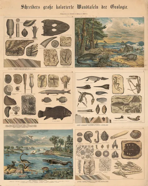 Animal and plant life, 1885 – nr 1 av J.F. Schreiber
