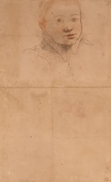Study of a Young Man av Federico Zuccaro