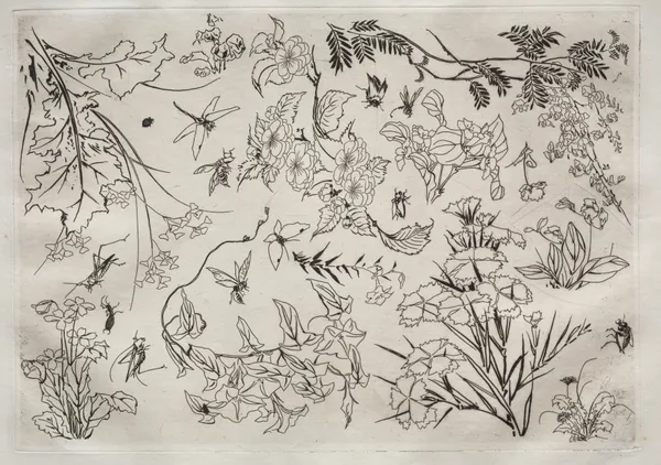 Dinner Service (Rousseau service); Flowers (no. 22), 1866 – nr 1 av Félix Bracquemond