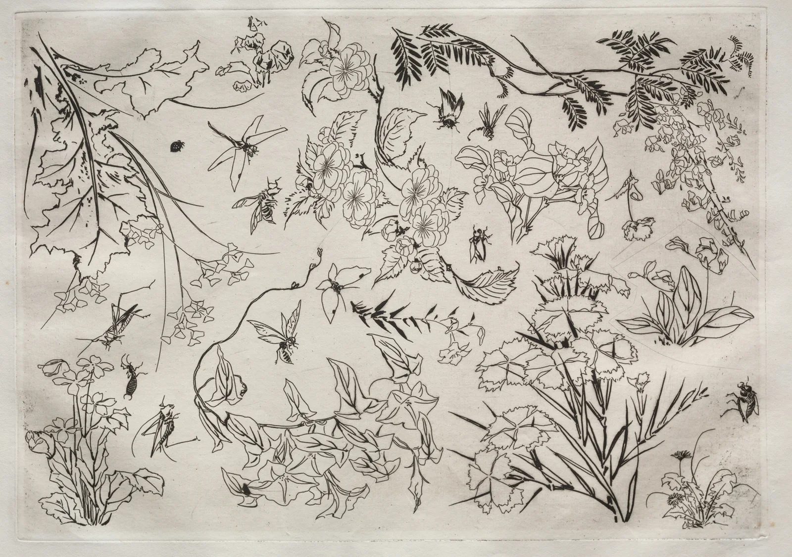 Dinner Service (Rousseau service); Flowers (no. 22), 1866 – nr 1 av Félix Bracquemond