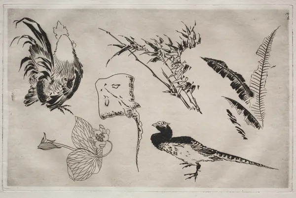 Dinner Service (Rousseau service); Roosters, skate, plants, etc. (no. 9) av Félix Bracquemond