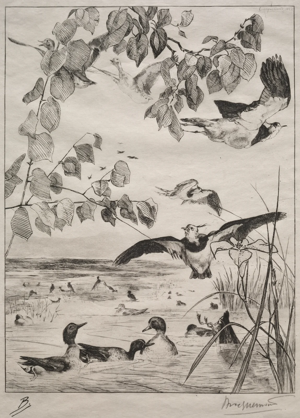 Lapwings and Teals av Félix Bracquemond