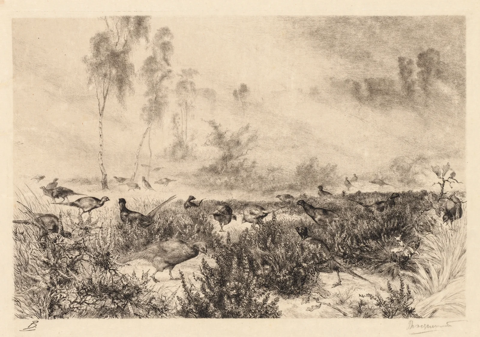 Morning Mists (Brumes de Matin) av Félix Bracquemond