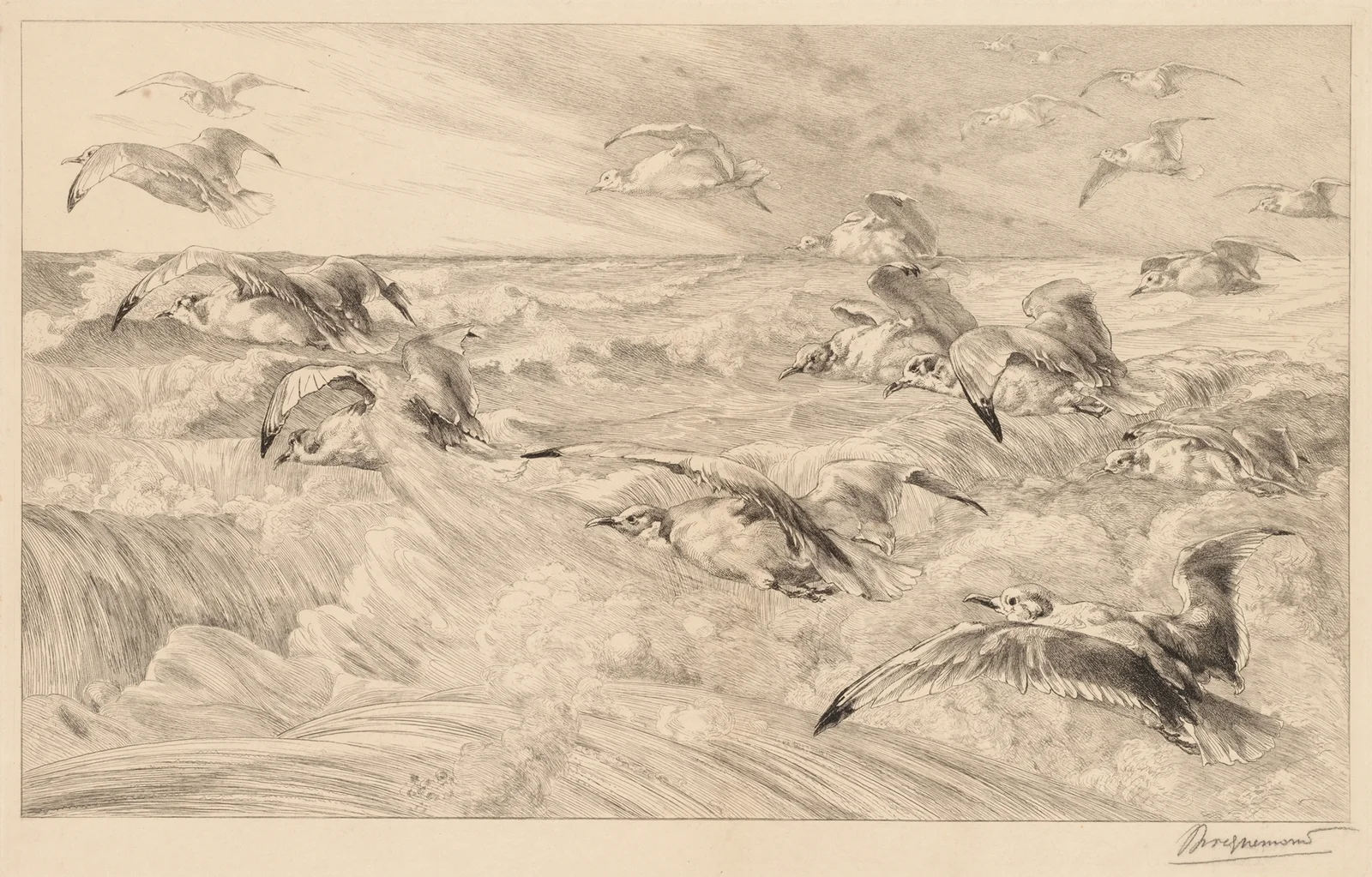 Seagulls (Les Mouettes) av Félix Bracquemond