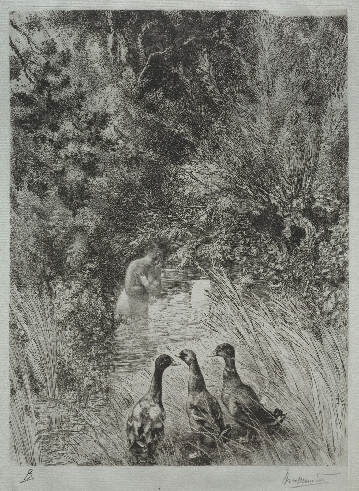 The Surprised Ducks av Félix Bracquemond