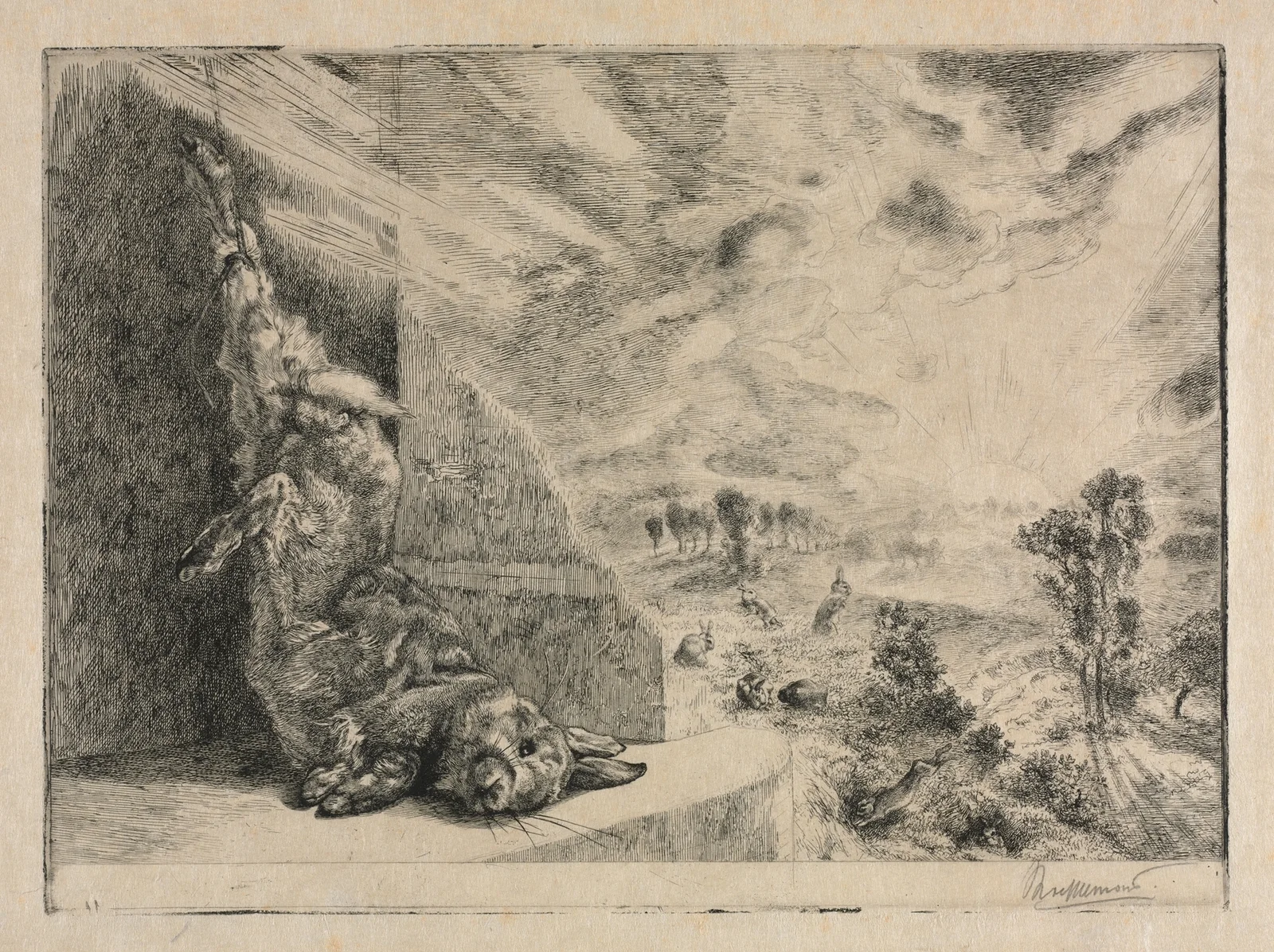 The Wild Rabbit av Félix Bracquemond