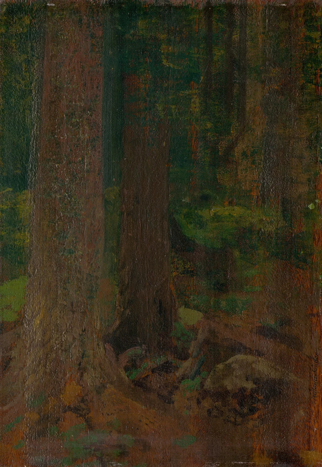 Study of Forest av Ferdinand Katona