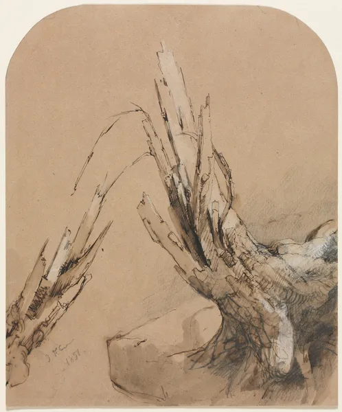 A Blasted Tree av Jasper Francis Cropsey