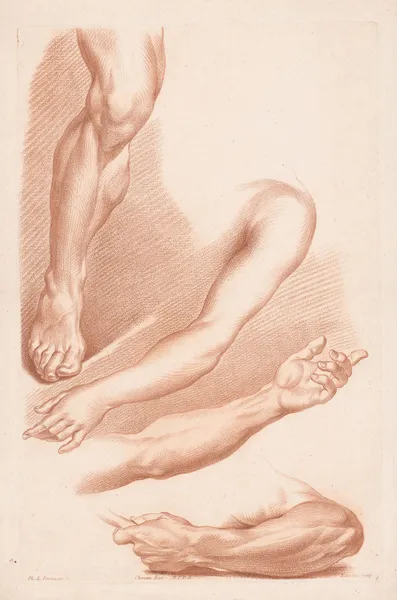 Different views of a leg and arms av Louis-François Roubiliac