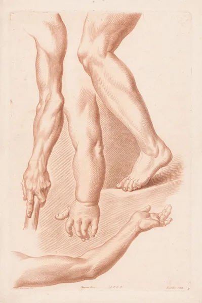 Different views of a leg and three arms av Louis-François Roubiliac