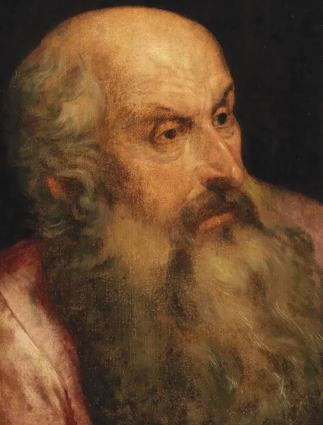 A Study Of A Bearded Man av Frans Floris