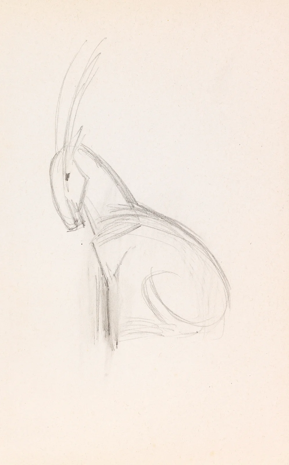 Kleiner Steinbock av Franz Marc