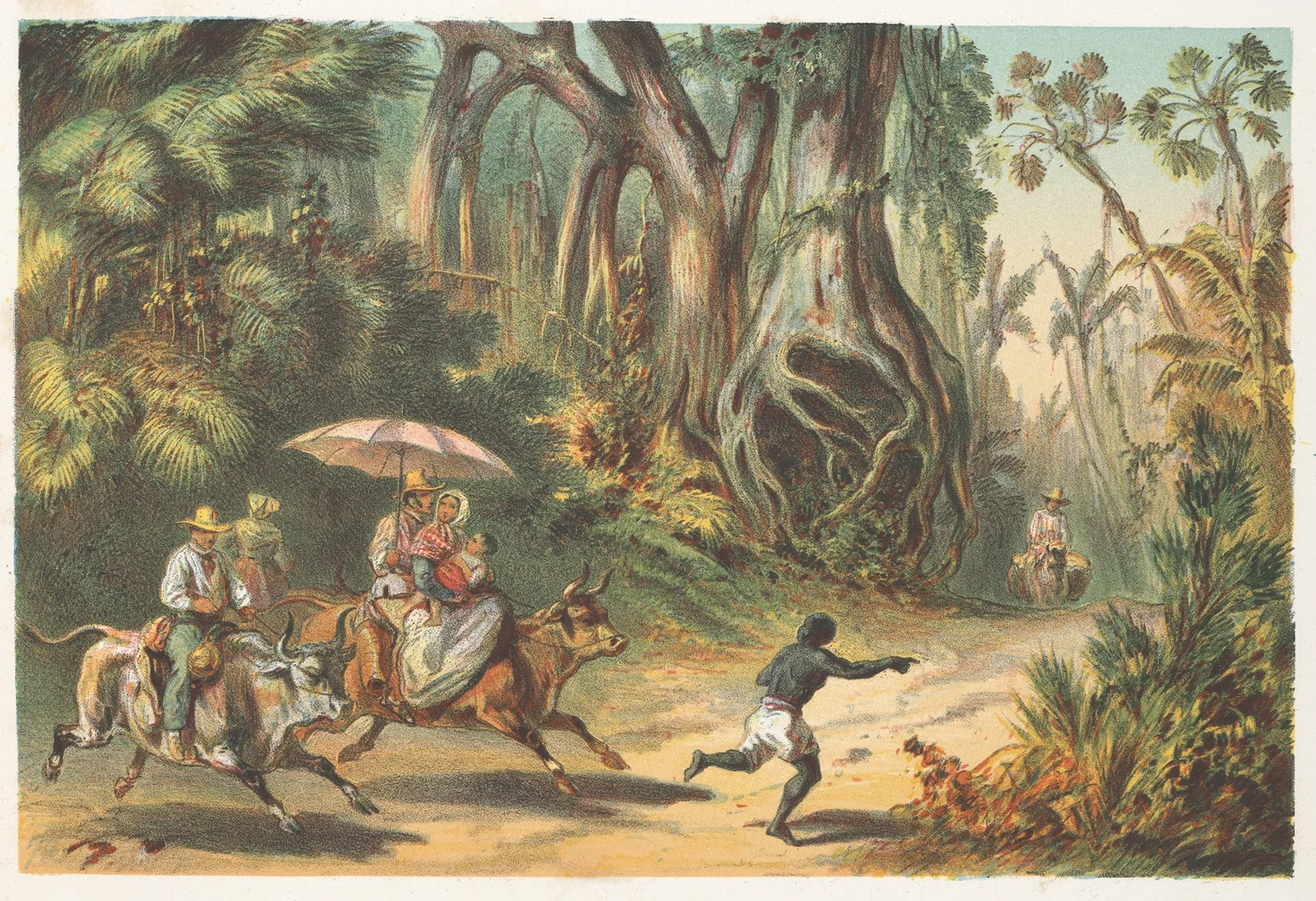Cercanias de Baracoa av Pierre Toussaint Frédéric Mialhe