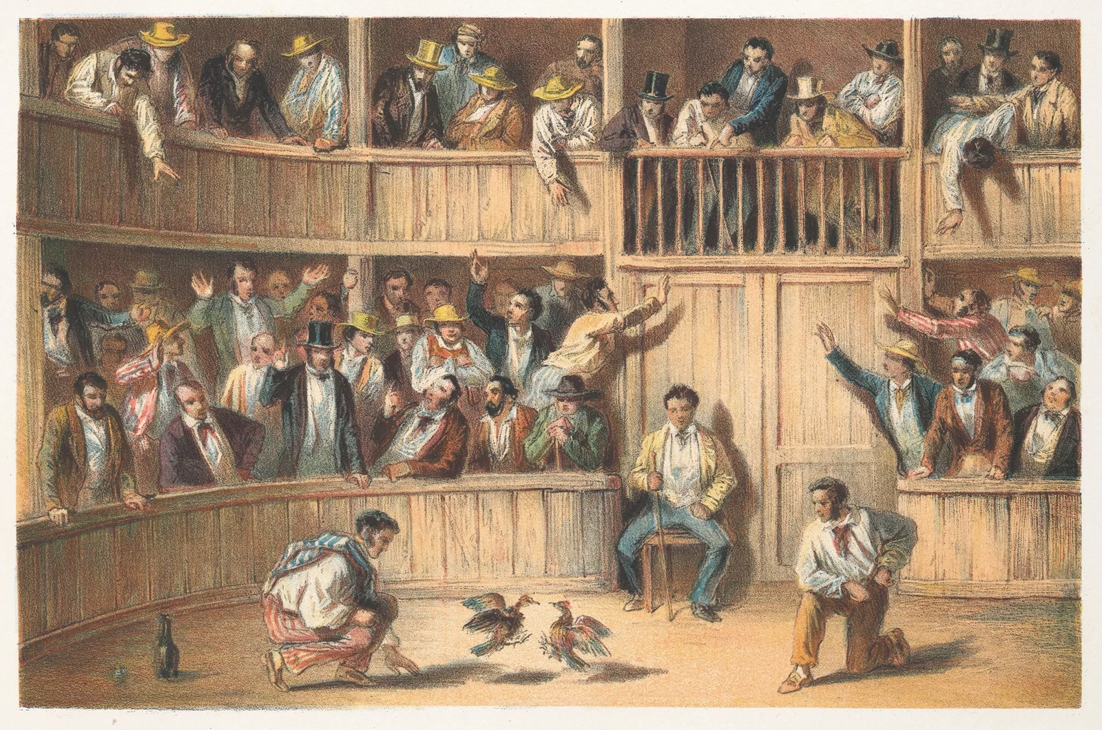 Valla de gallos av Pierre Toussaint Frédéric Mialhe