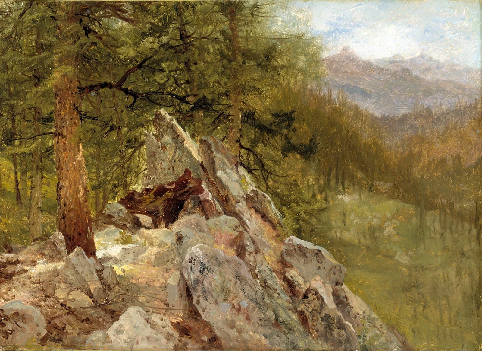 Western Landscape av John Frederick Kensett