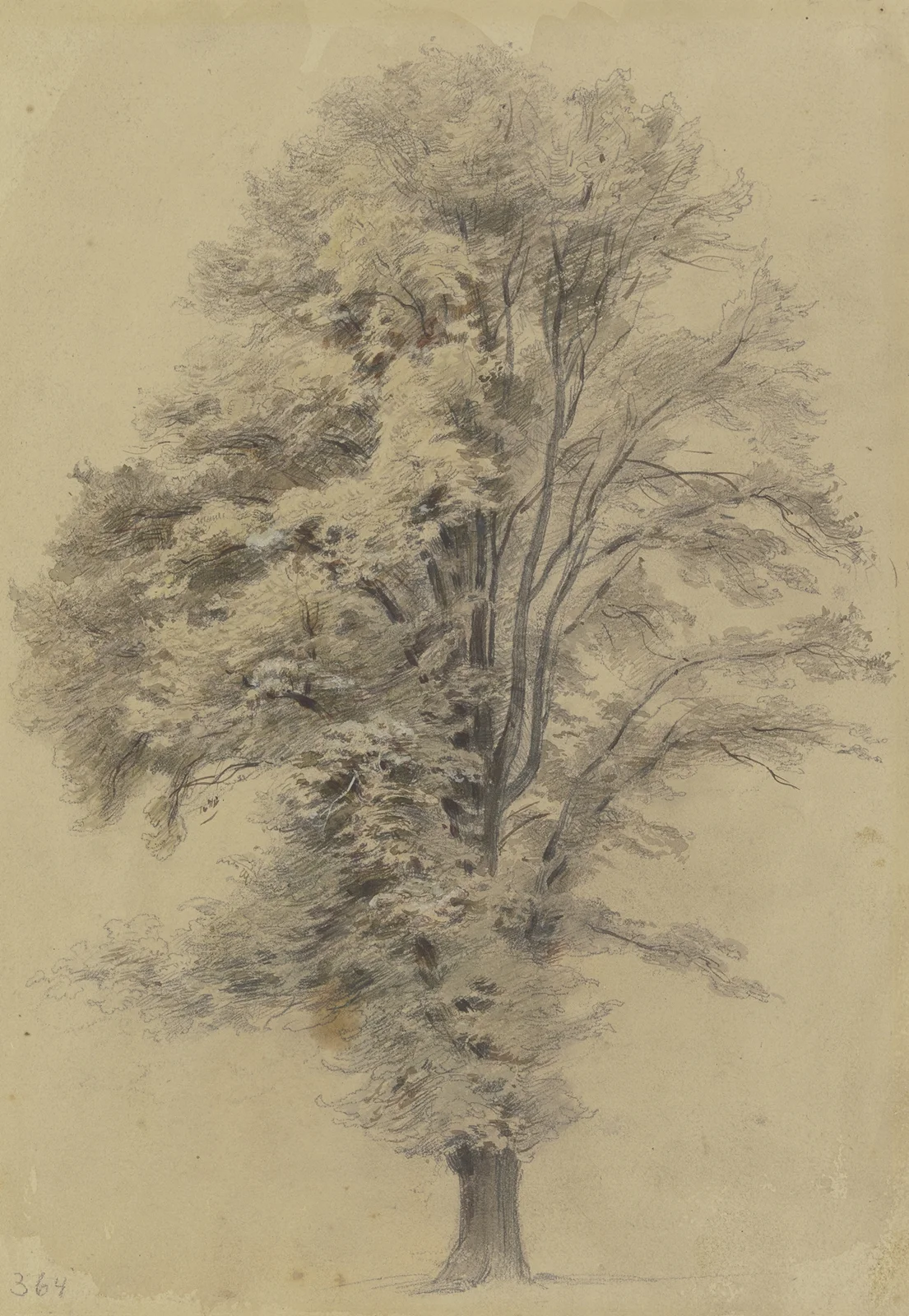 Large tree av Jakob Fürchtegott Dielmann