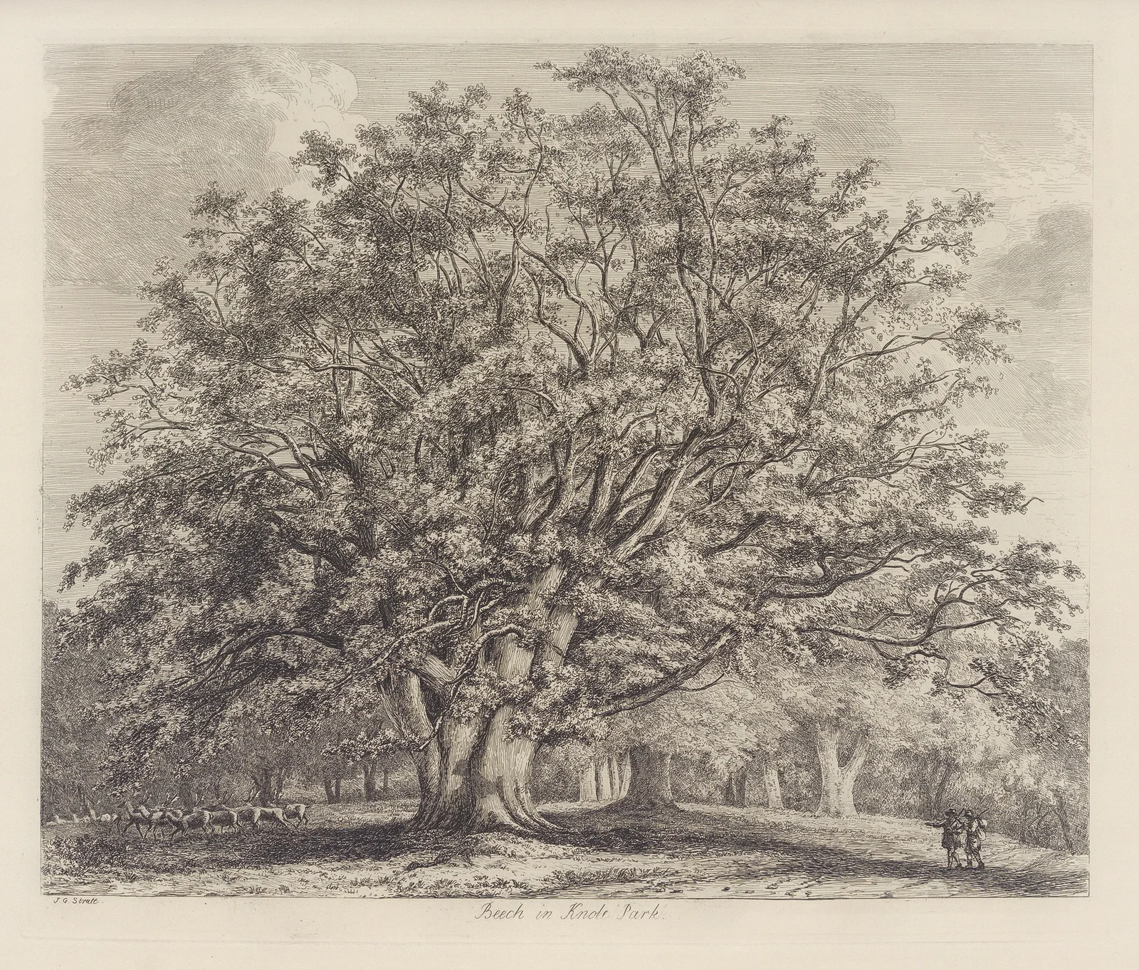 The Beech Tree at Knole av Jacob George Strutt