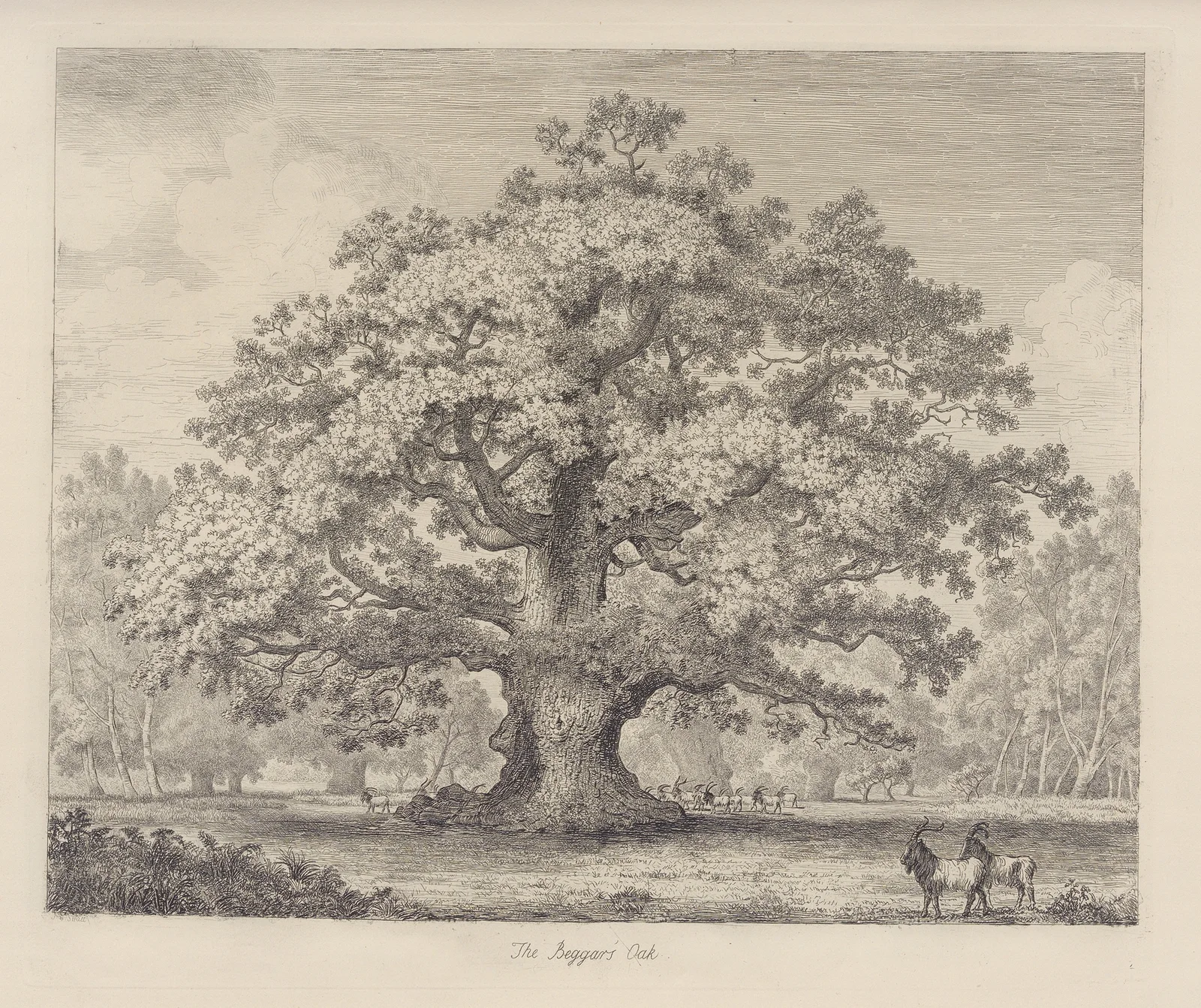 The Beggar’s Oak av Jacob George Strutt