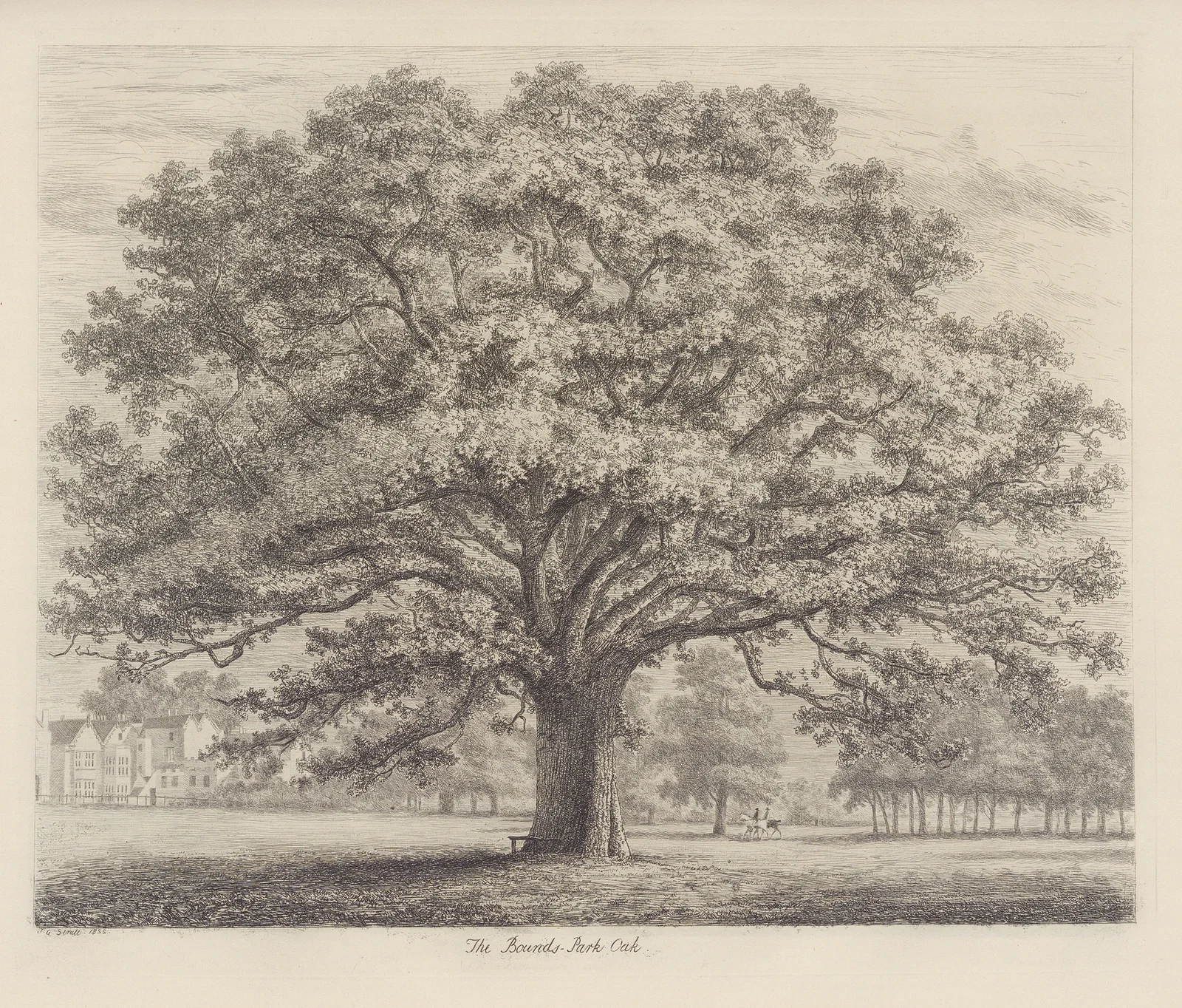 The Bounds-Park Oak av Jacob George Strutt