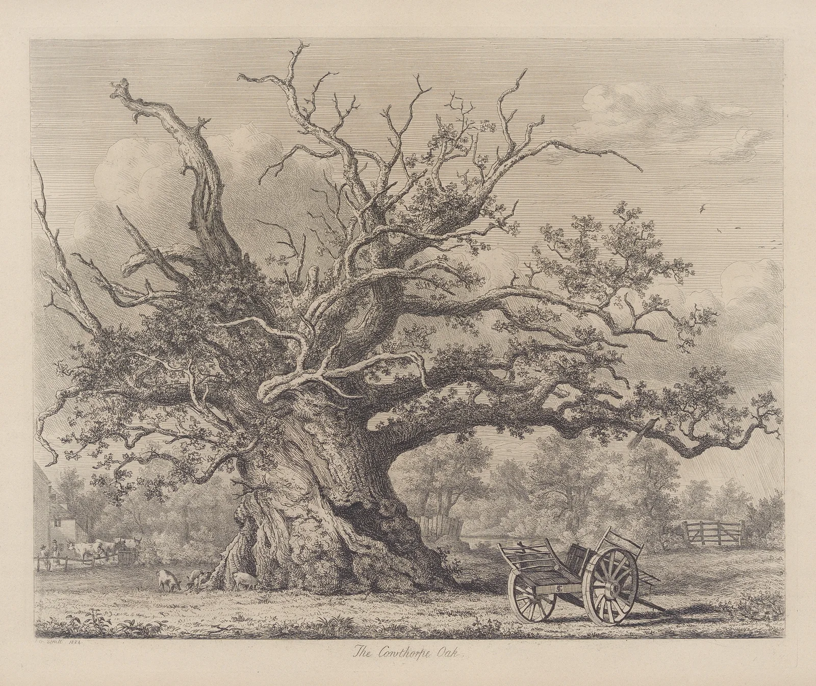 The Cowthorpe Oak av Jacob George Strutt
