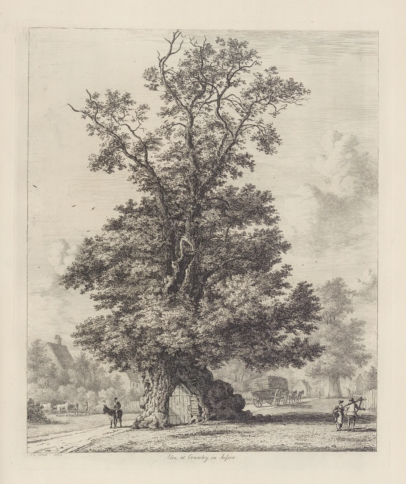 The Crawley Elm av Jacob George Strutt