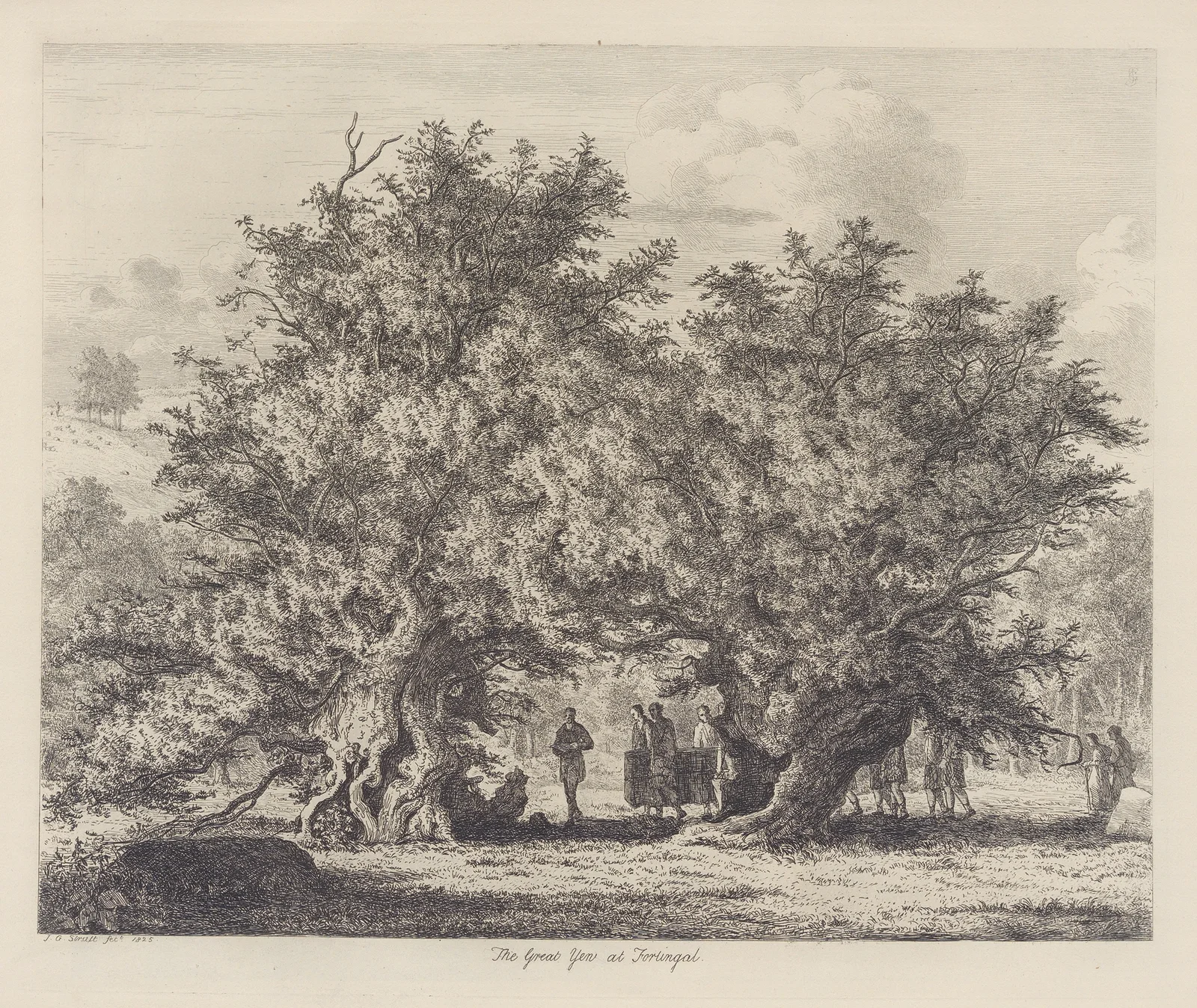 The Fortingal Yew av Jacob George Strutt