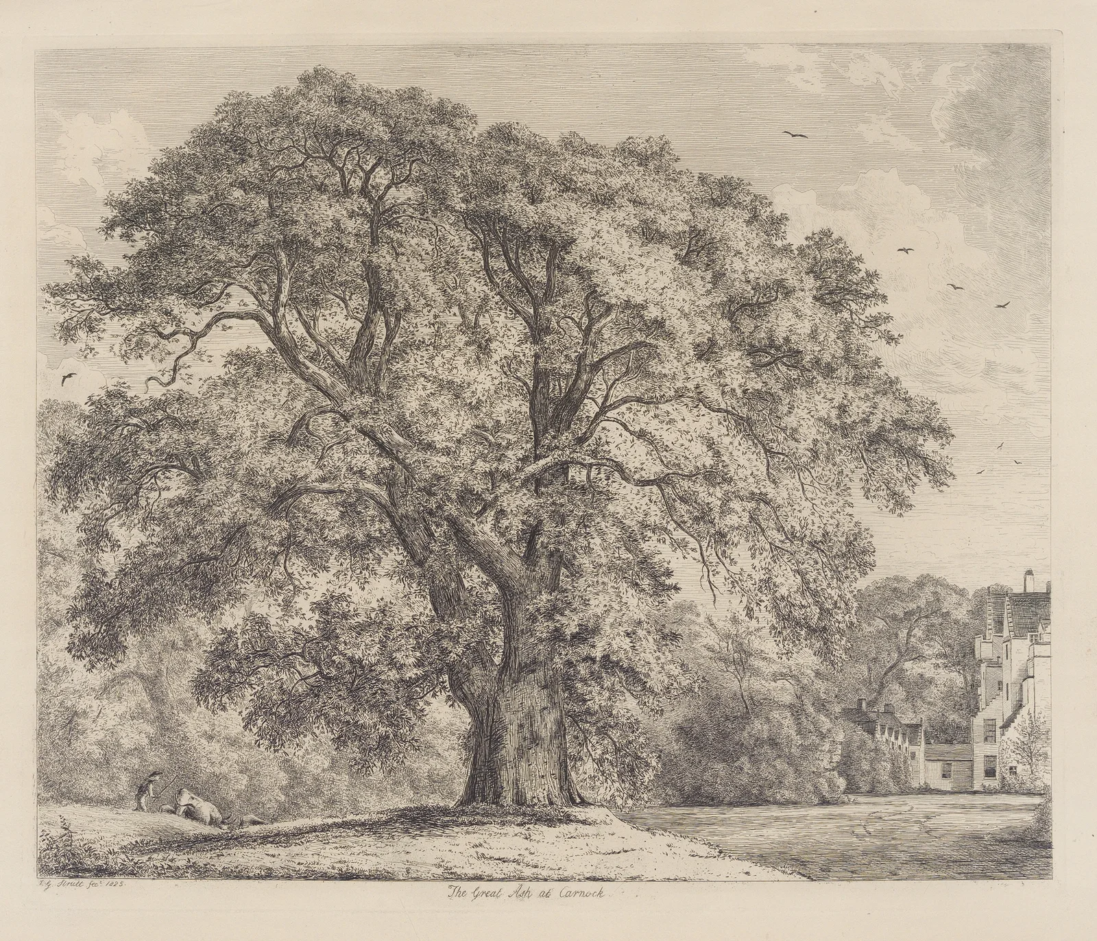 The Great Ash at Carnock av Jacob George Strutt