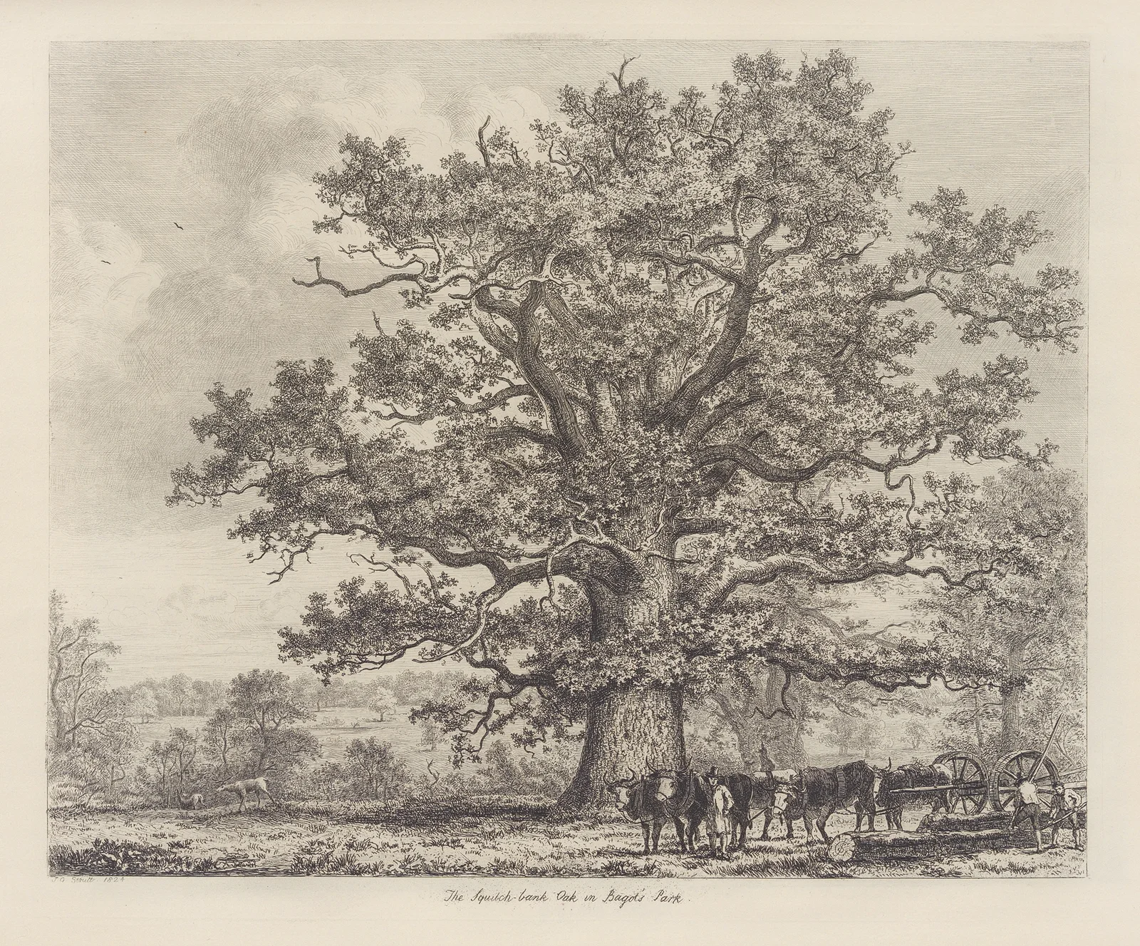 The Squitch Bank Oak av Jacob George Strutt