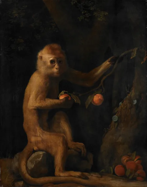 A Monkey av George Stubbs