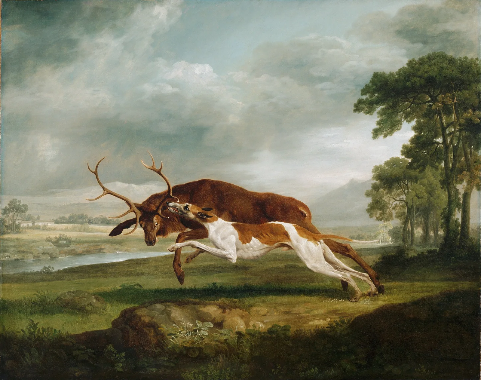 Hound Coursing a Stag av George Stubbs
