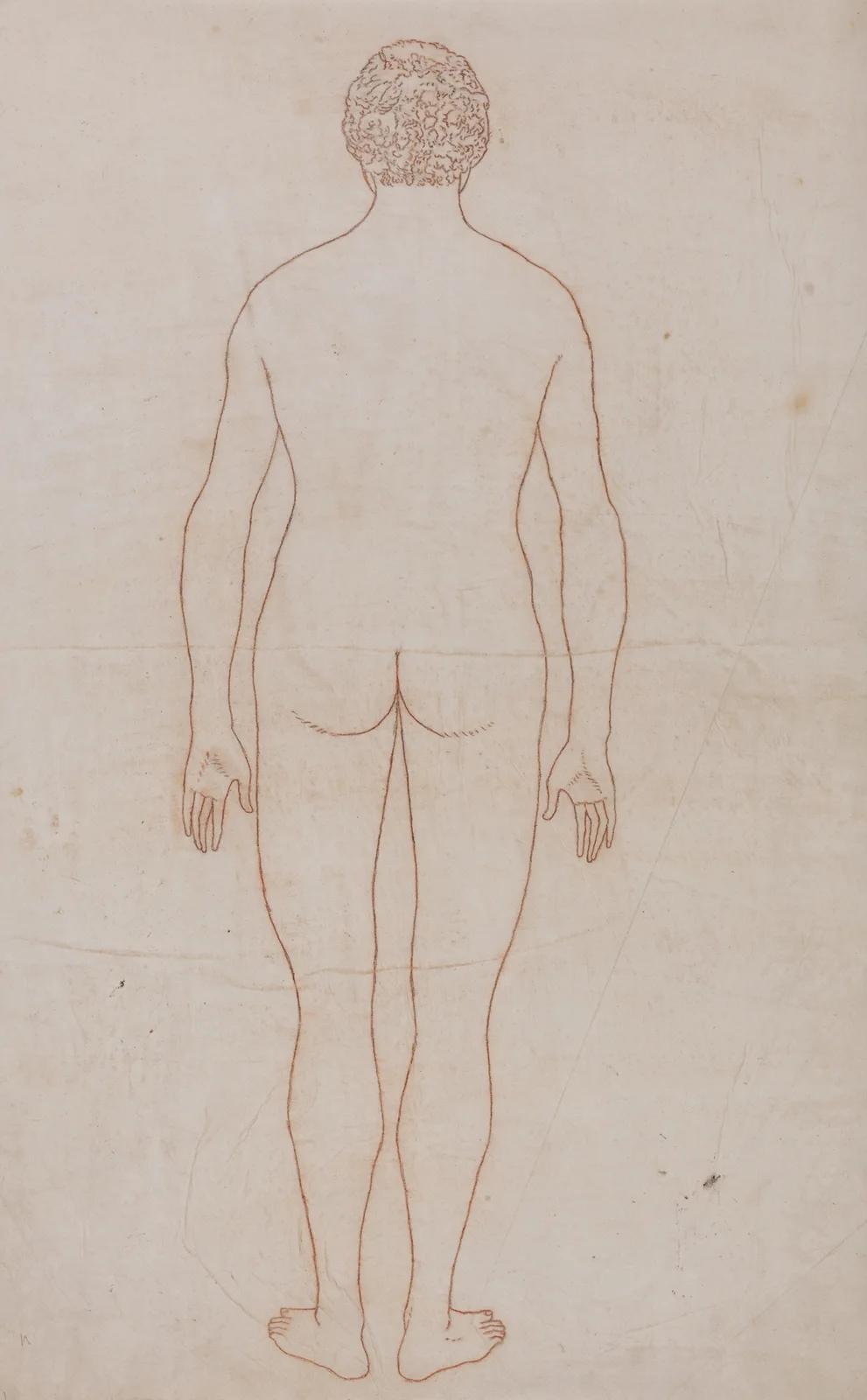 Human Body, Posterior View (1795 to 1806) av George Stubbs