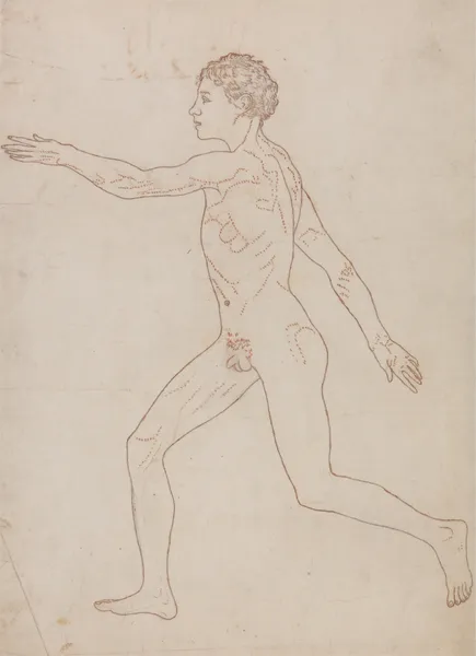 Human Figure, Lateral View (1795 to 1806), 1795 – nr 2 av George Stubbs