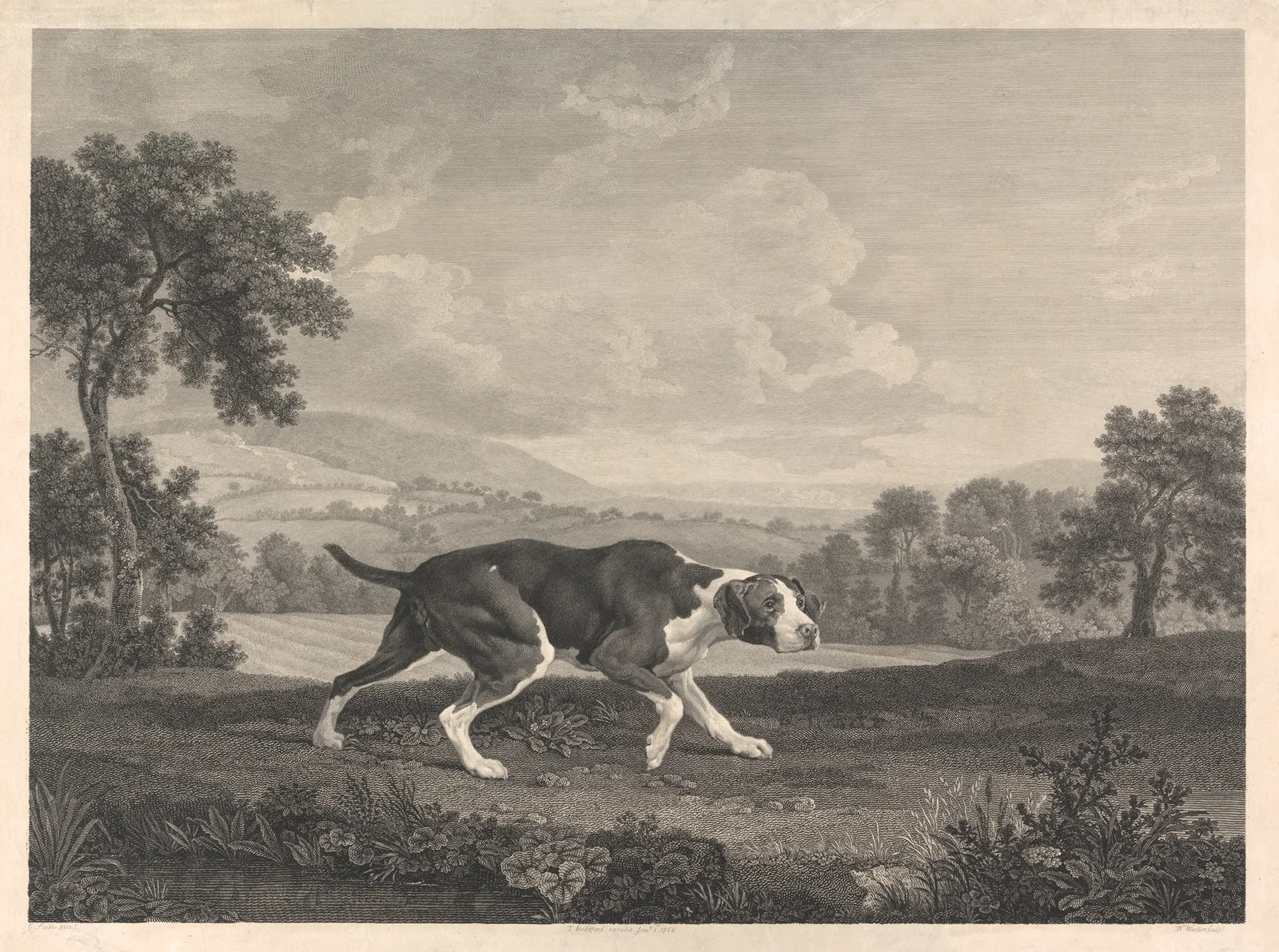 The Spanish Pointer av George Stubbs