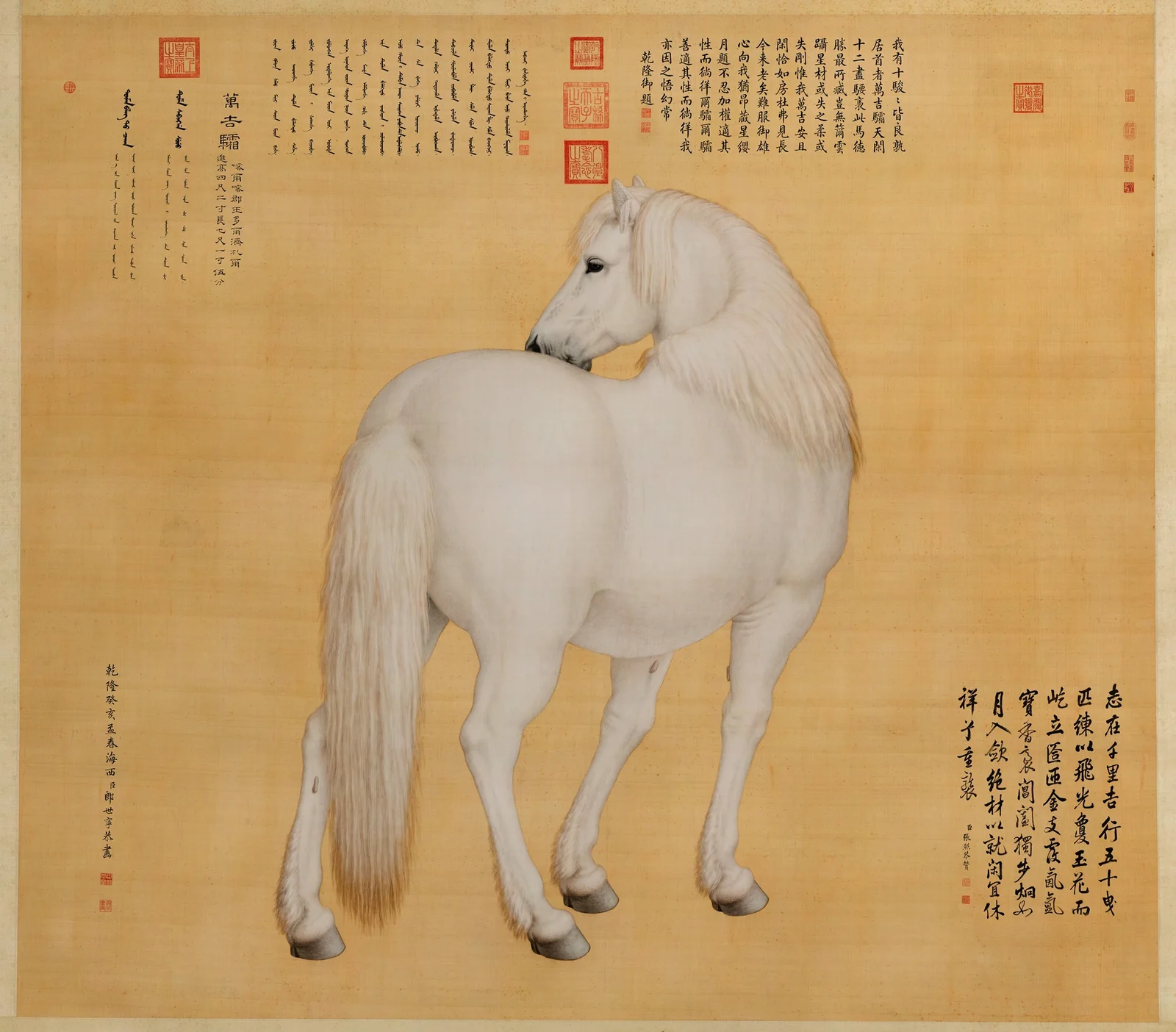 Steed av Giuseppe Castiglione