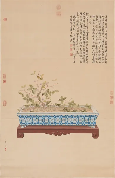Time-Telling Plant from the West av Giuseppe Castiglione
