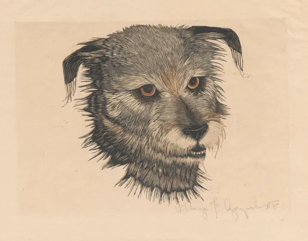 Head of ‘Beauty’ the dog av Wiktoria Goryńska