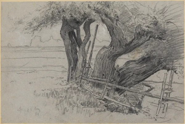 Drei alte Weiden bei Langenpreising av Gustav Kampmann