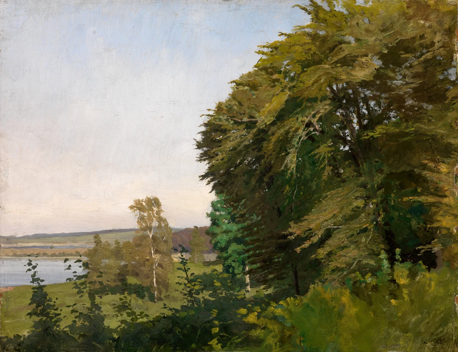 Landschaft aus Schleswig-Holstein av Gustav Kampmann